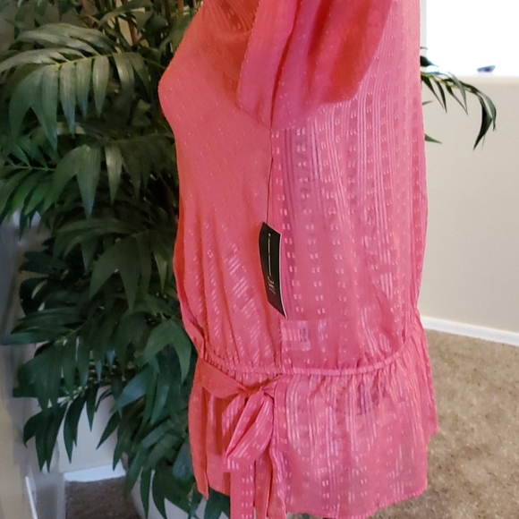 Inc sheer top sz med - Picture 3 of 4